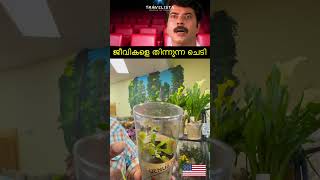 ജീവികളെ തിന്നുന്ന ചെടി😱 america travel Usa [upl. by Sutsuj]