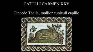 Catullus 25 in Latin amp English Cinaede Thalle mollior cuniculi capillo [upl. by Lednahc212]