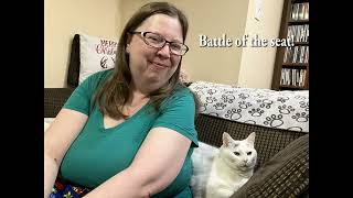 MY CAT IS A WEIRDO  Vlog 388 122023 [upl. by Cornelia434]