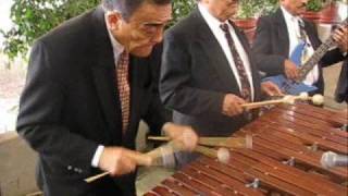 Marimba en Mexico City septiembre 08 [upl. by Yonina461]