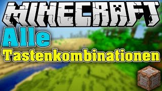 MINECRAFT Alle Tastenkombinationen • FPS Diagramm Tortendiagramm Hitboxen usw  HD60FPS [upl. by Assennev]