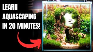 2024 Complete Aquascaping Beginners Guide  Learn ALL The Basics [upl. by Nidorf]