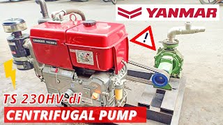 Yanmar TS230HVdi Centrifugal Pump Torishima Diesel Pompa Air Tekanan Tinggi Water Pump Fire pump [upl. by Kenton]