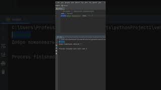 INPUT Функция в Python [upl. by Vona]