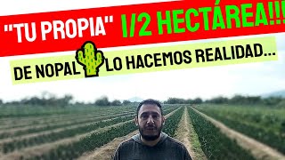 💚¿Quieres12HECTÁREA de NOPAL Te ayudamosFinanciamiento Parcial ✓FORRAJEVERDURA [upl. by Watkins296]