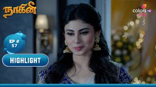 Naagin 6  Episode 116 amp 117 Highlights  SatSun  800PM  Colors [upl. by Om]