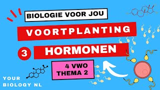 4 vwo  Voortplanting  3  Hormonen [upl. by Einafit]