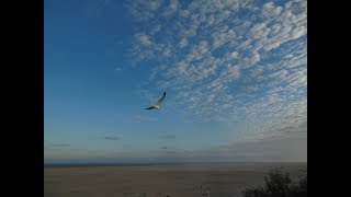 Nordseeinsel Amrum★Touristeninformation★Kniepstrand★blaue Maus★Vlog★ [upl. by Aihsa]