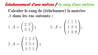 fr Le rang dune matrice  Echelonnement dune matrice Exercice 5 Série 1 de Td SVTSTU2223 [upl. by Lewellen]