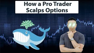 How To Scalp Options With Unusual Whales For Consistent Wins [upl. by Lorolla]