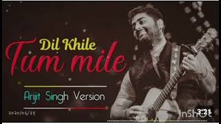 tum mile Dil khilesong [upl. by Darrin266]