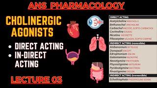 Cholinergic Agonists  Parasympathomimetic Drugs  Direct Acting amp indirect acting  L3 [upl. by Ythomit510]