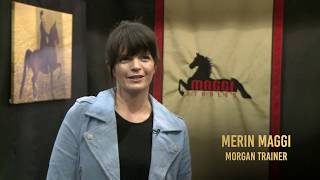 Trainers Review Merin Maggi on the Freedman Hunter SG Saddle [upl. by Vachil964]