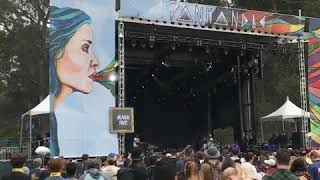 Oliver Tree  Circuits LIVE AT OUTSIDE LANDS 2017 Shorts [upl. by Alber60]