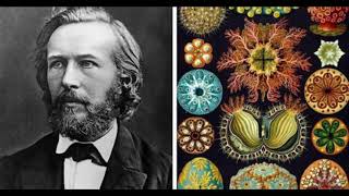 ernst haeckel [upl. by Meris]