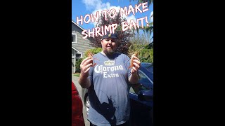 How to make bait for spot prawns [upl. by Octavian]