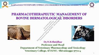 PHARMACOTHERAPEUTIC MANAGEMENT OF BOVINE DERMATOLOGICAL DISORDERS BY DR N B SHRIDHAR [upl. by Nivrac]