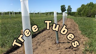 Tree Tubes for Tree Protection [upl. by Ahsilet]