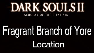 Dark Souls 2 Scholar of the First Sin Fragrant Branch of Yore Location [upl. by Nortna]