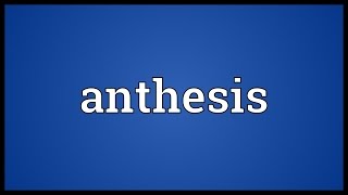 Anthesis Meaning [upl. by Yelahs616]