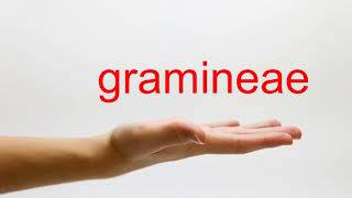 How to Pronounce gramineae  American English [upl. by Biamonte]