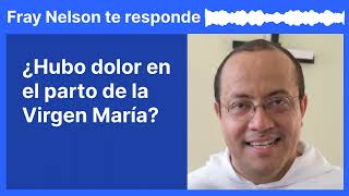 ¿Hubo dolor en el parto de la Virgen María Fray Nelson te responde  24 [upl. by Carrelli]