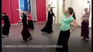 FLAMENCO DANZA ESTILIZADA Y CASTAÑUELA [upl. by Nirtiac46]