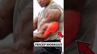 Tricep Workoutworkout motivation shortvideo ytshorts viral youtubeshorts muscle [upl. by Sinne]