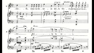 La Dolcissima efigie Adriana Lecouvrer  F Cilea Score Animation [upl. by Bihas]