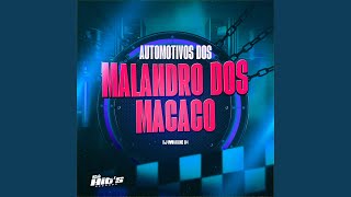 Automotivo Dos Malandro Dos Macaco [upl. by Engelbert545]