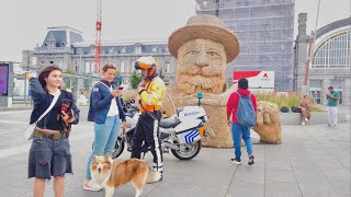 Ostend Belgium 4K Walking Tour  Beach and Seaside  Mixed Seafoods and Driedfish [upl. by Llenyr65]