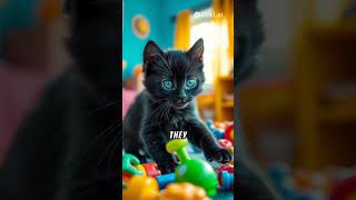 life cycle of a black cat shorts cat lifecycles trending viralvideo animallife [upl. by Anil]