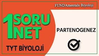 TYT Biyoloji Partenogenez  1 Soru 1 Net [upl. by Brendon]