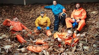 Amazing Fastest Catch Million of Alaska King Crab With Modern Boat  Amazing crab fishing on the sea [upl. by Calandra]