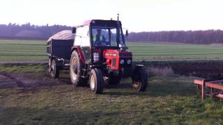 Zetor 7711 turbo  2 przyczepy wysłodków czII [upl. by Hanoj]