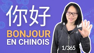 你好  Comment dire quotbonjourquot en chinois  nihao 1365 365JoursDeChinois [upl. by Wymore]