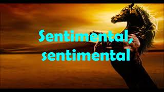 Karaoke SentimentalJoan Sebastian [upl. by Airekat]