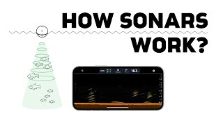 Everything You Need to Know About How Sonars Work [upl. by Niggem812]