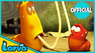 LARVA Funny Animation  LARVA AND THE SPAGHETTI  Cartoons  Comics  LARVA Official [upl. by Idram]