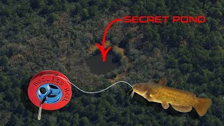 Fishing a Secret Hidden Pond  Rodless Reel  UFO REEL [upl. by Hnao]