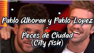 Pablo Alborán y Pablo López  Peces de ciudad Live English lyrics amp explanation [upl. by Enoid]