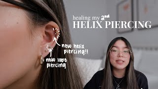 helix piercing aftercare  how i healed my helix piercing [upl. by Rosol]