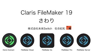 FileMaker 19 新機能さわり [upl. by Sidonius]