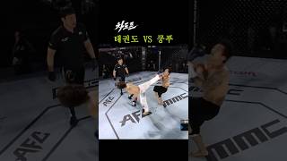 대한민국 태권도 vs 중국 무술 쿵푸 ㄷㄷ [upl. by Sosna]