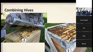 CCBA Oct 2024 Combining Hives from Monthly Meeting [upl. by Grof]