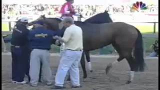 Barbaro Injury Preakness Stakes May 20 2006 [upl. by Tlok310]