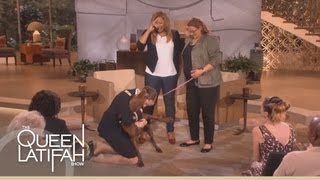 Dogs on Deployment Reunites Soldiers Dog on the Queen Latifah Show [upl. by Rramal986]