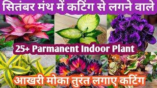 September Month मे कटिंग से लगने वाले 25 Colourfull Indoor Plant Parmanent Plant Grow By Cutting [upl. by Aneeuqal999]