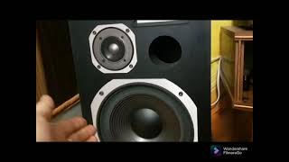 Coral DX5 vs Pioneer S170 [upl. by Elreath]