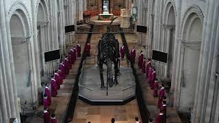 Norwich Cathedral Choristers welcome Dippy the dinosaur [upl. by Macrae]